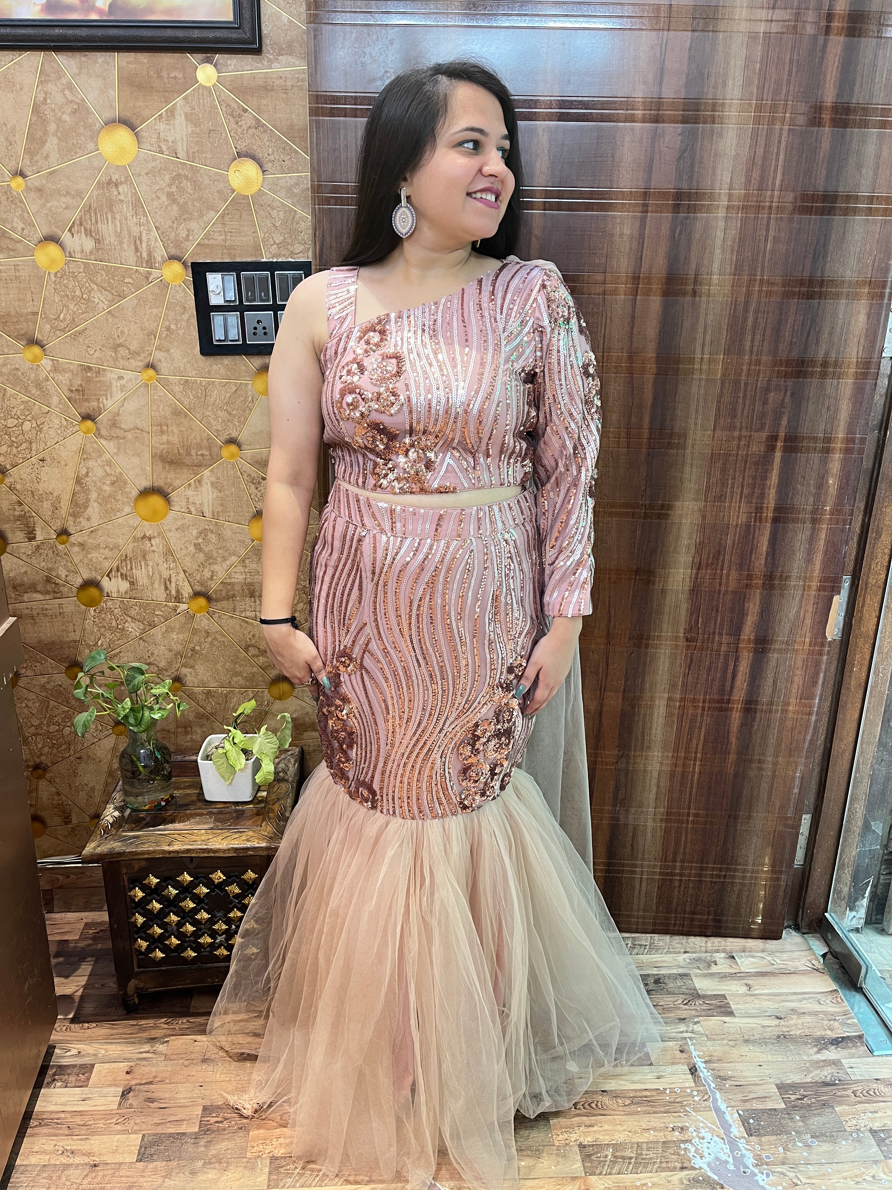 Sequins Net Fishcut Outfit
