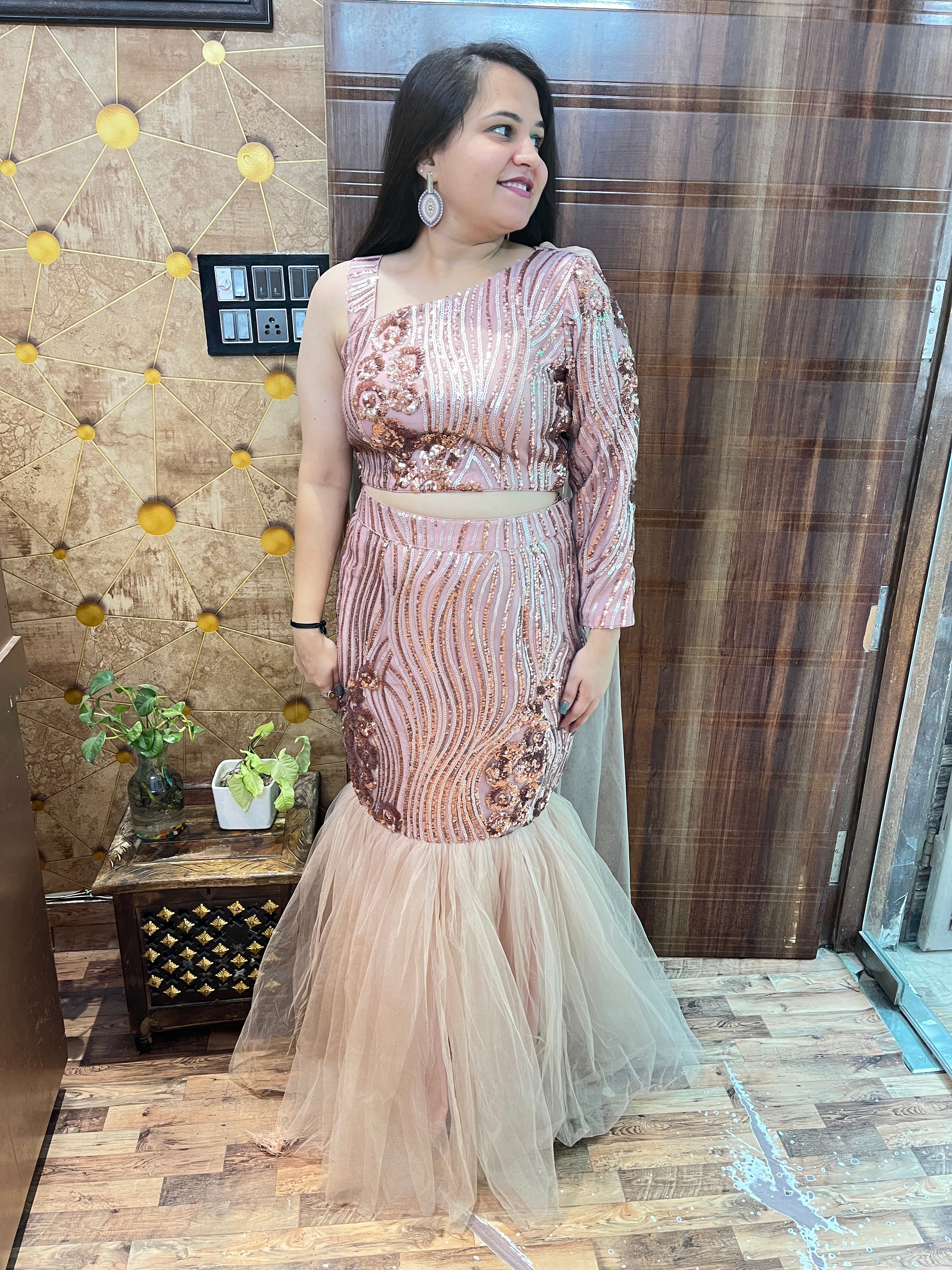 Sequins Net Fishcut Outfit