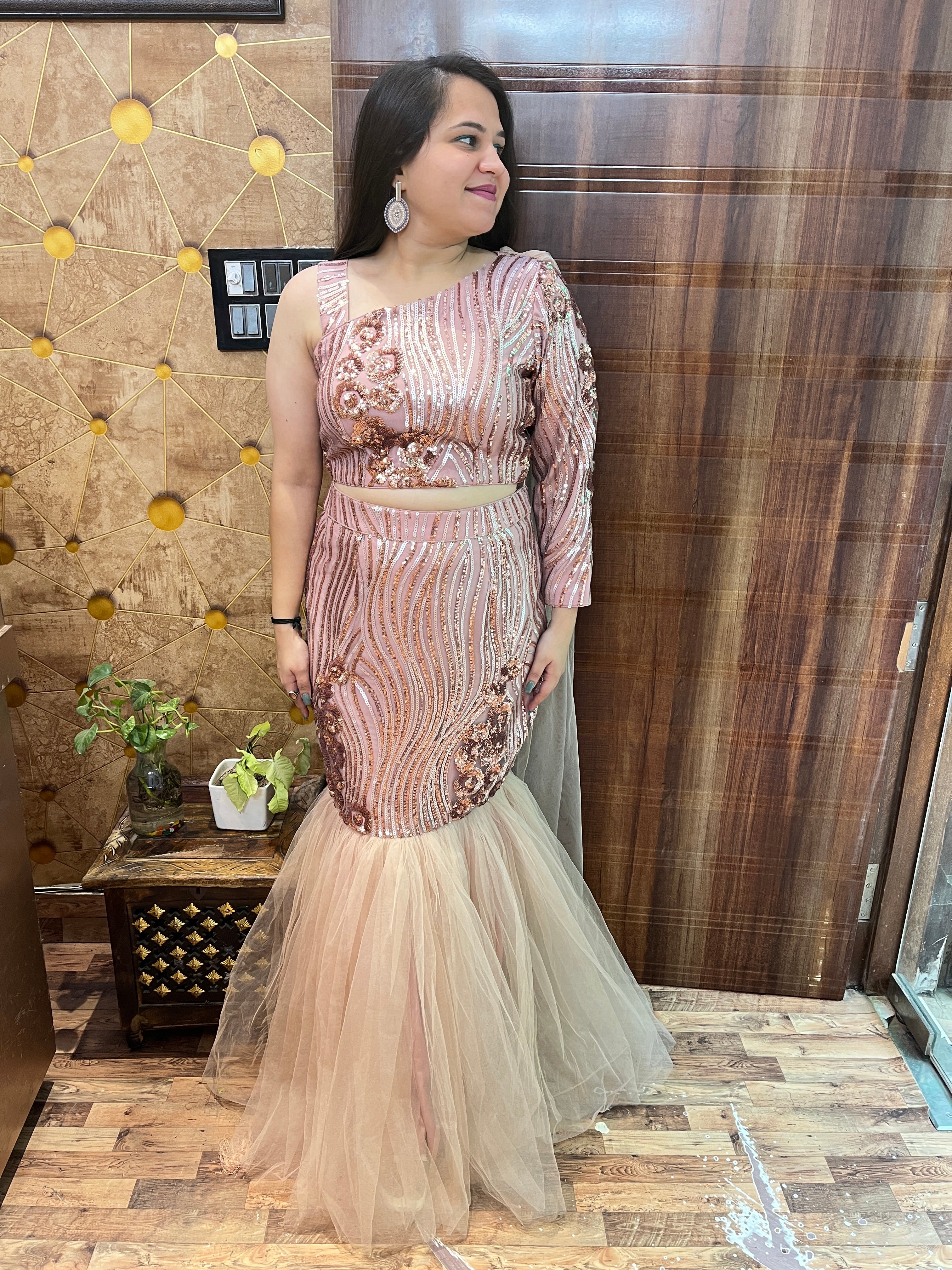 Sequins Net Fishcut Outfit