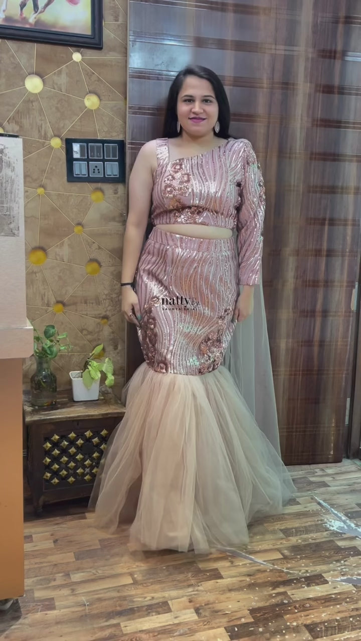 Sequins Net Fishcut Outfit